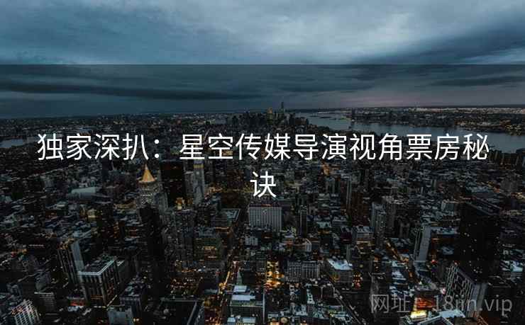 独家深扒：星空传媒导演视角票房秘诀