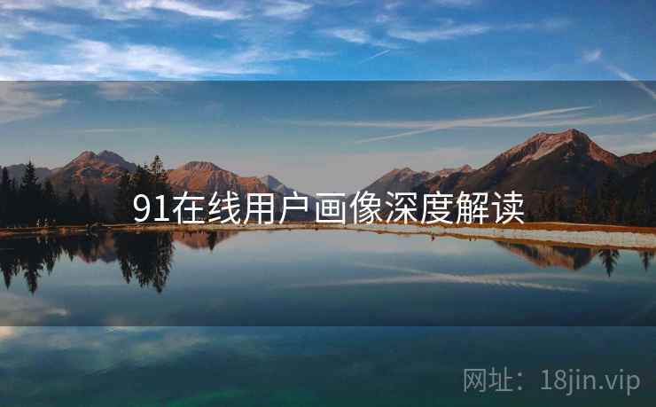 91在线用户画像深度解读