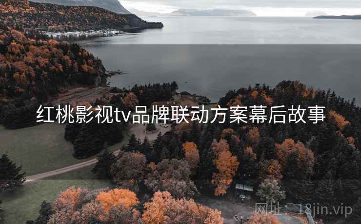 红桃影视tv品牌联动方案幕后故事