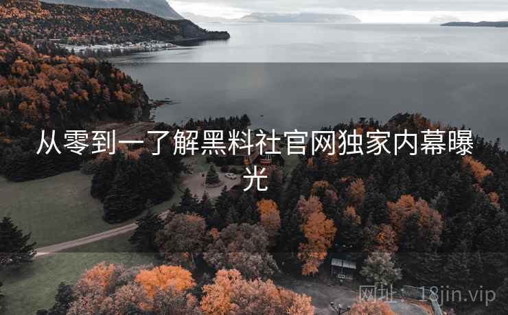 从零到一了解黑料社官网独家内幕曝光