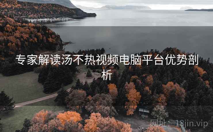 专家解读汤不热视频电脑平台优势剖析