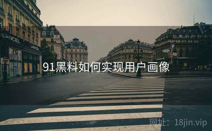 91黑料如何实现用户画像