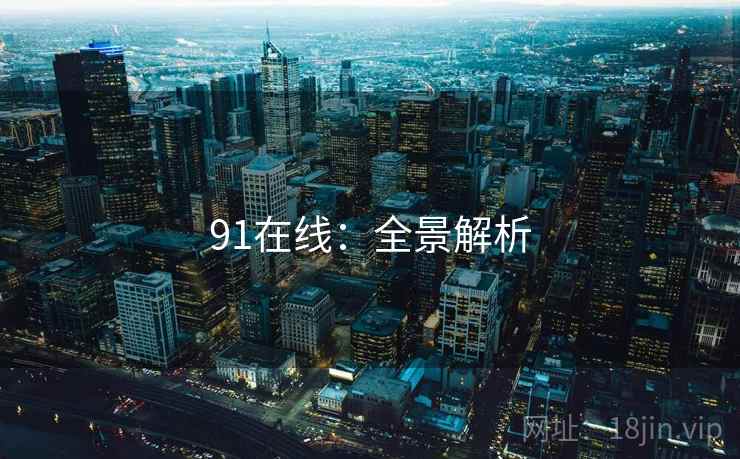 91在线：全景解析