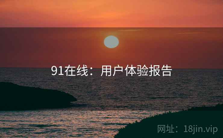 91在线：用户体验报告