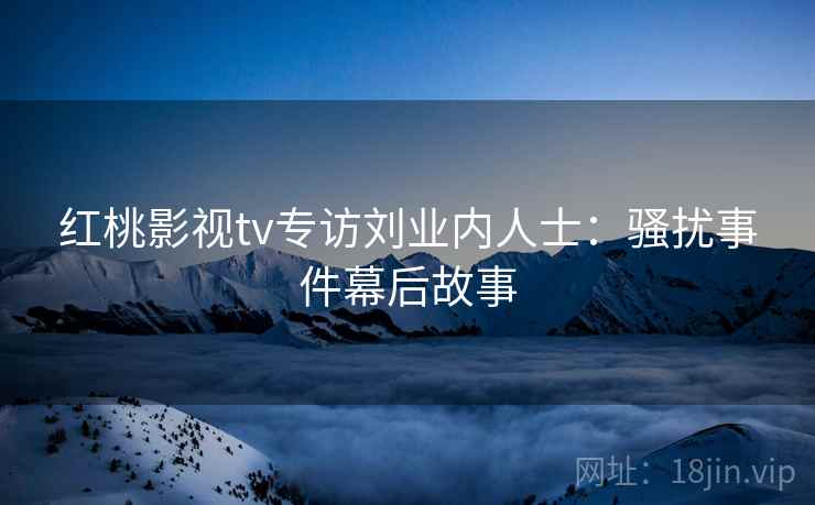 红桃影视tv专访刘业内人士：骚扰事件幕后故事