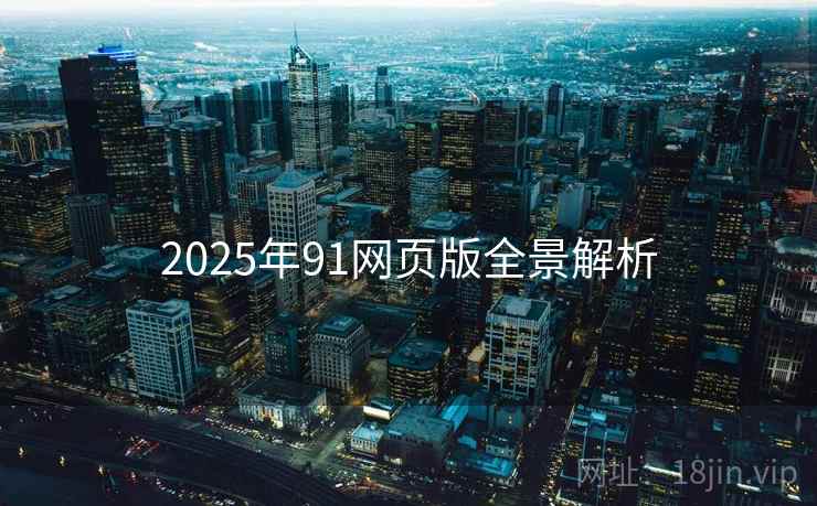 2025年91网页版全景解析
