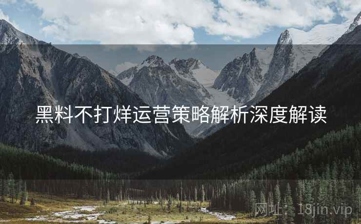 黑料不打烊运营策略解析深度解读