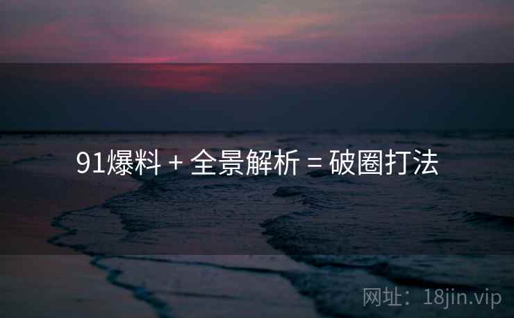 91爆料 + 全景解析 = 破圈打法