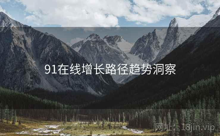 91在线增长路径趋势洞察